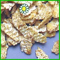Oat flakes enlarged