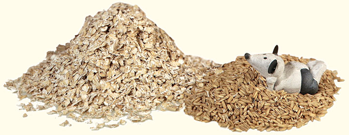 Freshly crushed oat flakes without heat damage