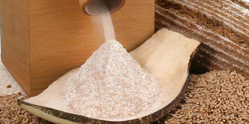 Wholemeal flour freshly ground with the electric grain mill Fidibus 21